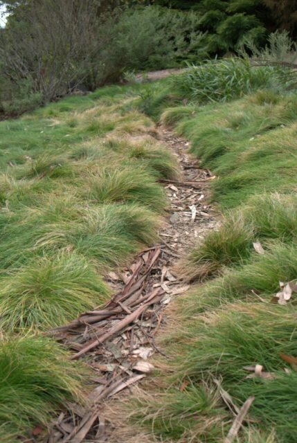 discarded bark on a bush pathway gives an informal feel