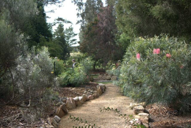 Pathways in Your Native Garden | Gardening With Angus