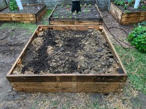 No Dig Vegetable Gardening | Gardening With Angus