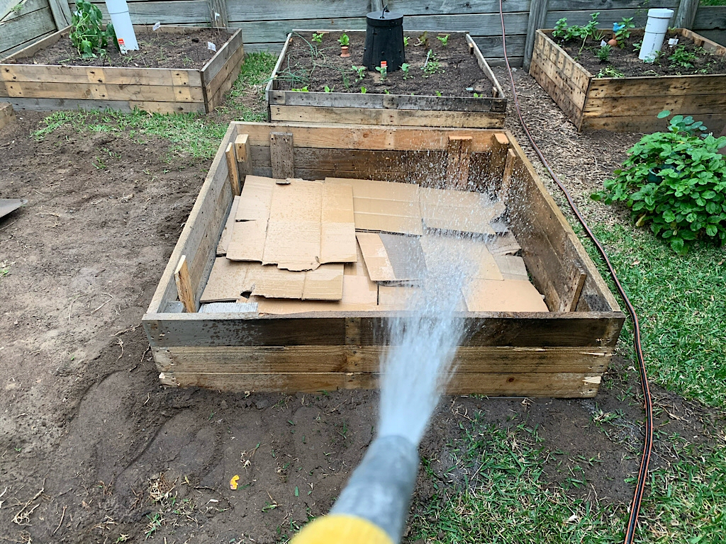 Watering first cardboard layer when making ano dig garden