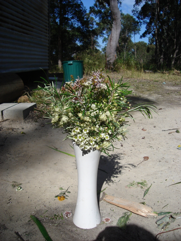 Bunch of Australian native wildflowers picked from the garden