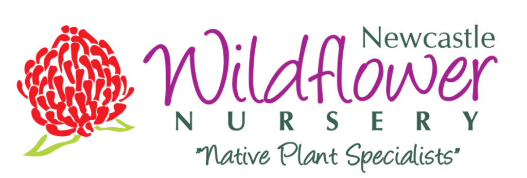 Newcastle Wildflower Nursery | Gardening With Angus