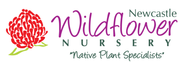 Newcastle Wildflower Nursery logo with waratah