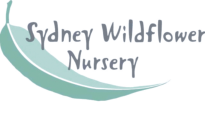 Sydney Wildflower Nursery