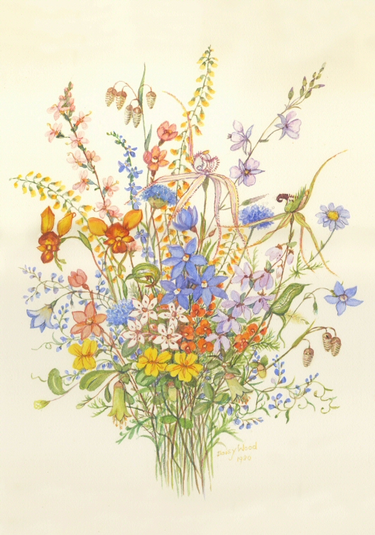 Daisy Wood And Her Botanical Art