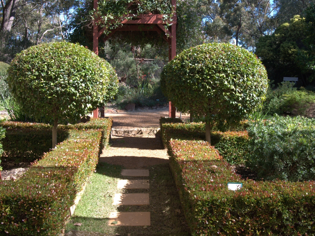 The New Formal Garden: With Australian Plants