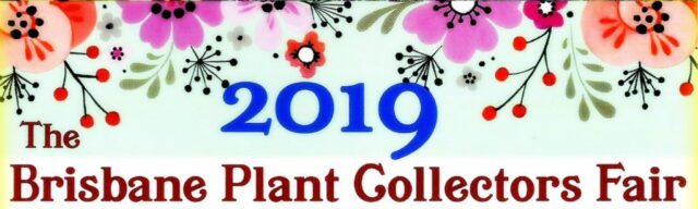 The Brisbane Plant Collectors Fair