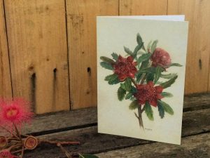 Australian wildflower card Waratah