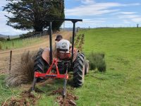 Ripping ground for deep planting Blue Gums