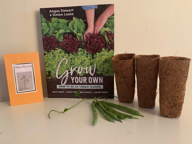 grow your own book with climbing bean seeds