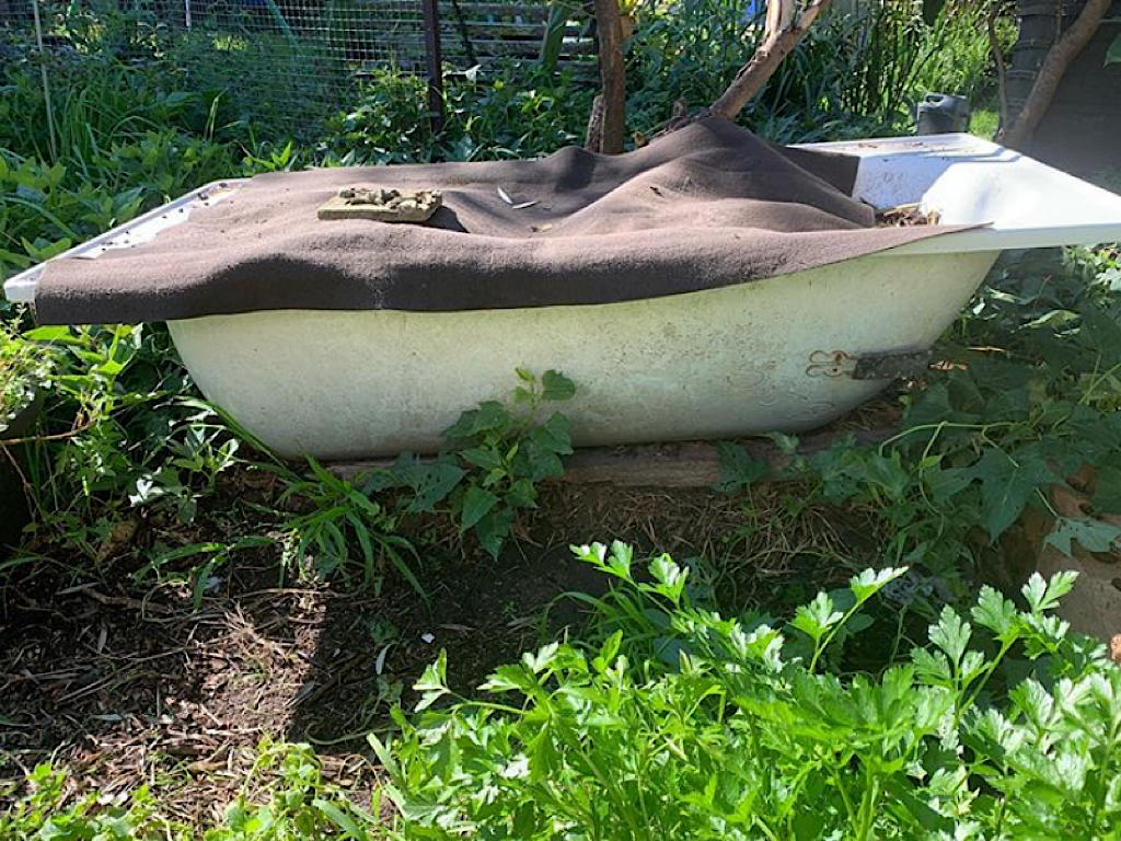 How To Turn An Old Bath Tub Into A Vermicompost Unit