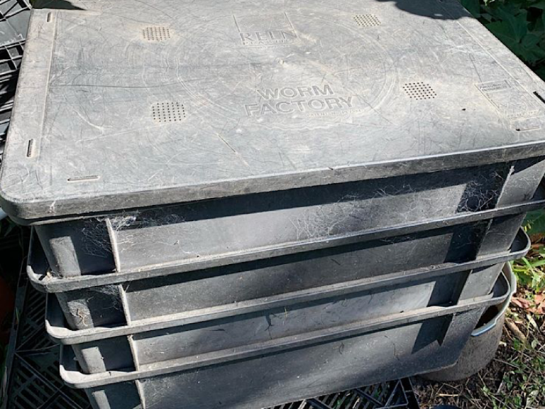 Winter Worm Farm Tips Gardening With Angus