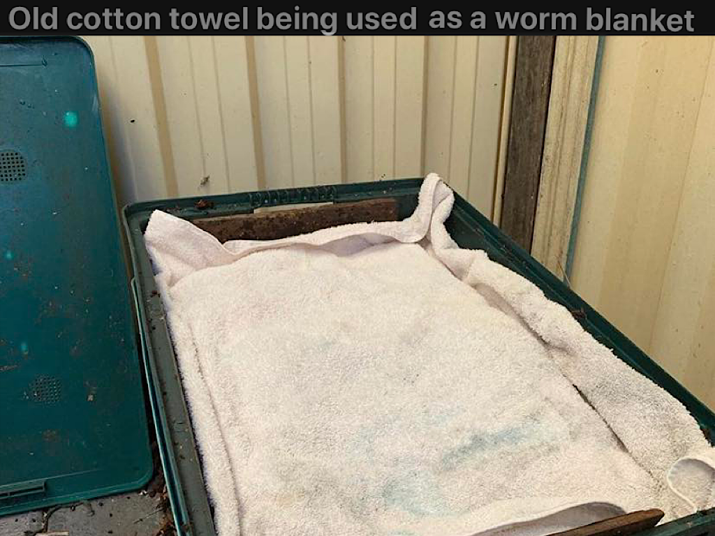 Cotton towel worm blanket