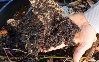How To Use A Compost Mate – video
