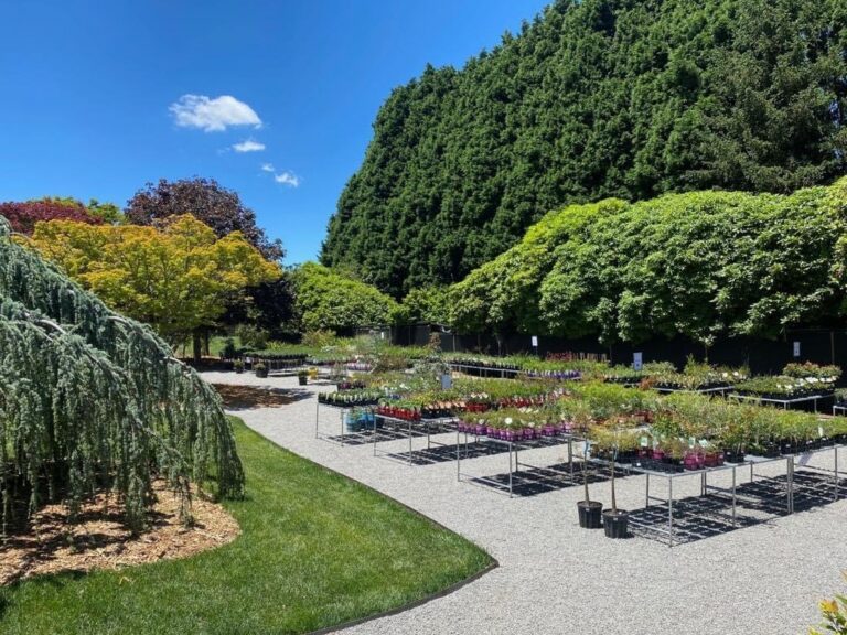 Native Grace Nursery Robertson NSW Gardening With Angus