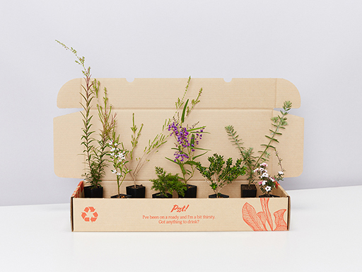 Plants In A Box send native tubestock all around Australia
