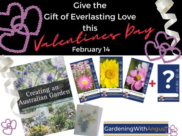 Valentine's Everlasting Love Gardening Bundle